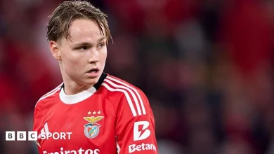 Andreas Schjelderup: Norway footballer facing conviction for sharing illegal video
