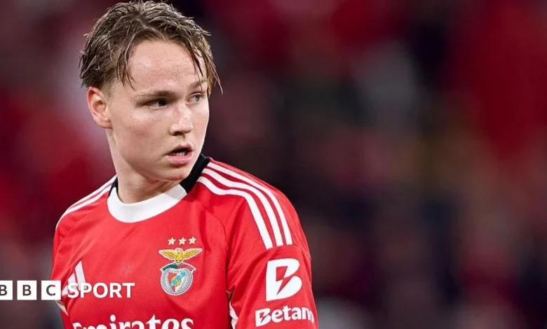 Andreas Schjelderup: Norway footballer facing conviction for sharing illegal video