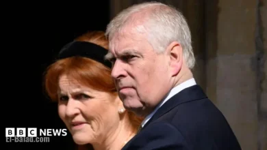 Andrew Secures £1.4m Deal, Facilitates Palace Visit for Firm