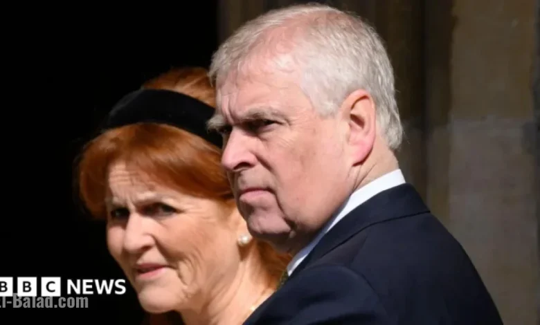 Andrew Secures £1.4m Deal, Facilitates Palace Visit for Firm