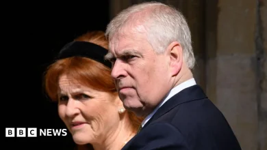 Andrew fixed palace visit for firm with £1.4m deal with ex-wife