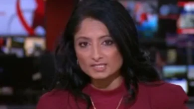 Andrew report abruptly pulled from air as BBC News plunged into chaos