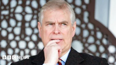 Andrew should answer Jeffrey Epstein questions in US, Democrats say