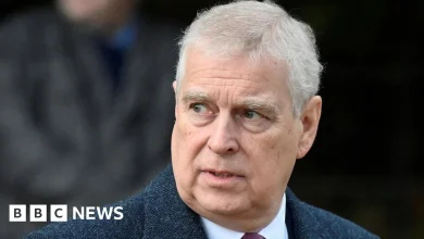 Andrew should answer Jeffrey Epstein questions in US, Democrats say