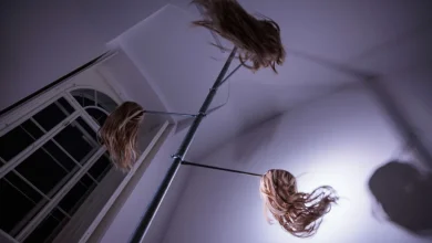 Anna Franceschini "NIGHTS OUT" KUNSTVEREIN GARTENHAUS / Vienna