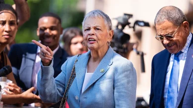 Another House Dem drops out of 2026 rat race as party faces generational reckoning