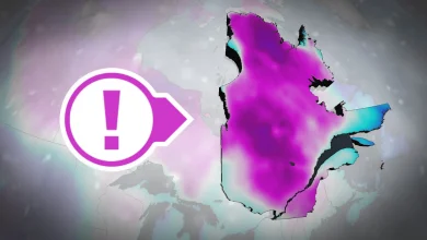 Aperçu : décembre 2025 va défier une tendance lourde