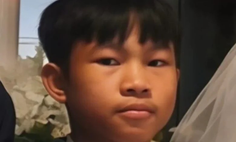 Appeal for boy missing from Wicklow after leaving school with no phone or money