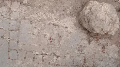 Archaeologists uncover unique mosaic Patolli board in Guatemala, redefining ancient Maya gaming traditions