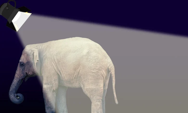 Arctic Frost Is a Real Scandal