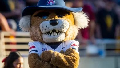 Arizona football at Cincinnati: Game time, TV schedule, odds, streaming and more