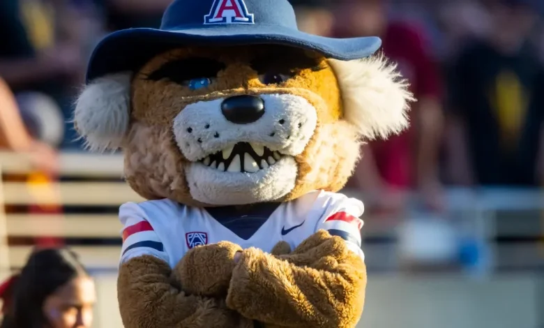 Arizona football at Cincinnati: Game time, TV schedule, odds, streaming and more