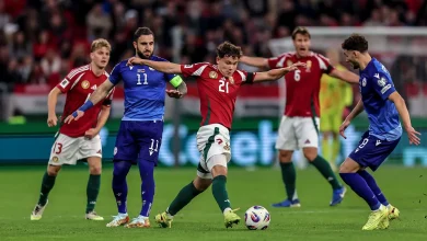 Armenia vs Hungary Prediction and Betting Tips | November 13th 2025