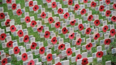 Armistice Day 2025: When UK will observe a two-minute silence