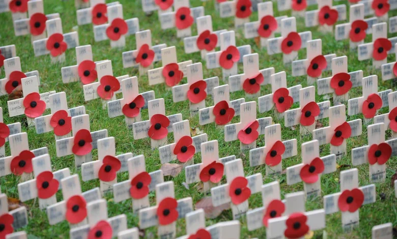 Armistice Day 2025: When UK will observe a two-minute silence