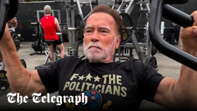 Arnold Schwarzenegger: Newsom is behaving as badly as Trump