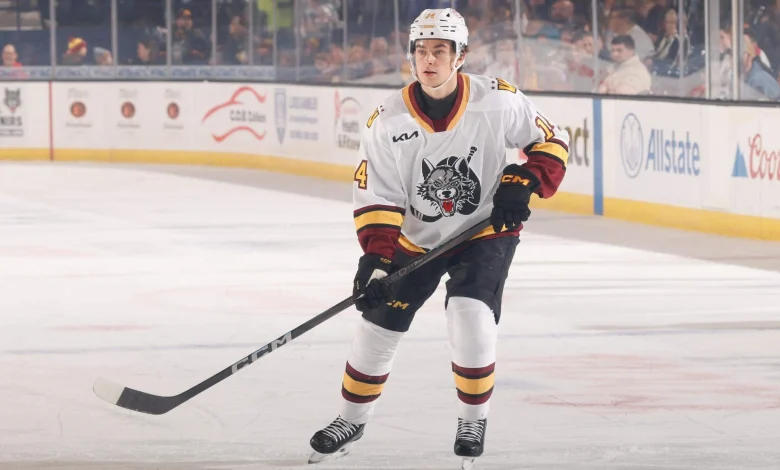 As the NHL world turns, a top Hurricanes prospect awaits his turn in the AHL