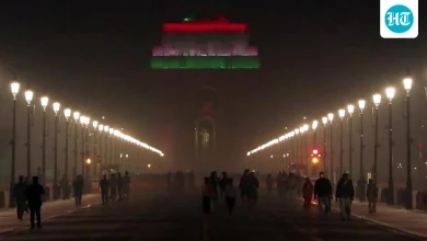 Ash cloud from Africa volcano reaches India | India News