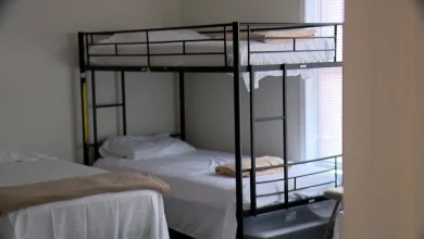 Asheville activates Code Purple, expands shelters and free transit amid cold weather