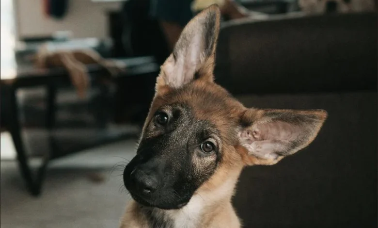 Asia Morning Briefing: Even Prediction Markets Didn’t See Bitcoin’s Selloff Coming