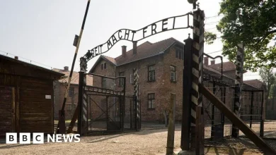 Auction of Nazi death camp artefacts cancelled, Poland's DPM says