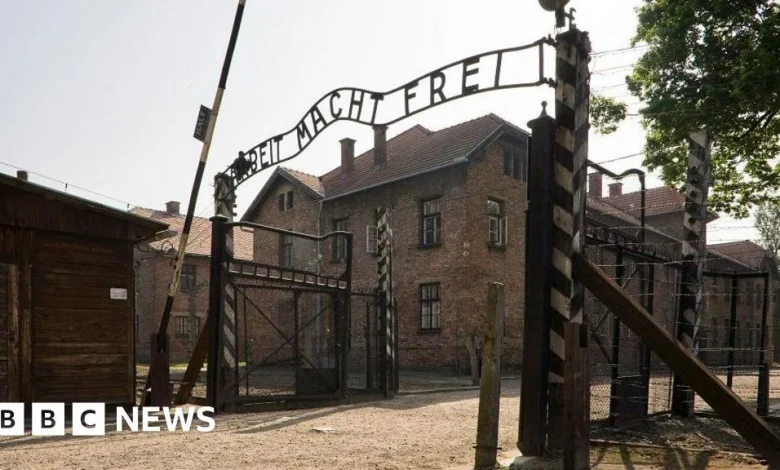 Auction of Nazi death camp artefacts cancelled, Poland's DPM says