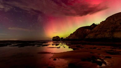 Aurora Australis Alert: Get Outside Tonight The Sky Might Just Glow