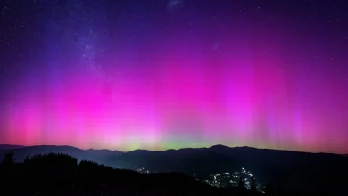 Aurora australis possible on Friday night, cloud and moonlight permitting