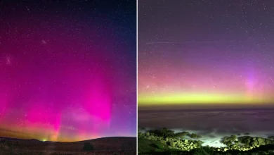 Aussies dazzled by light show ... and you can see it again tonight