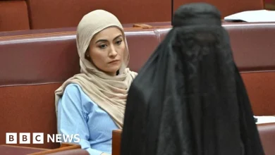 Australia senator condemned for burka stunt in parliament