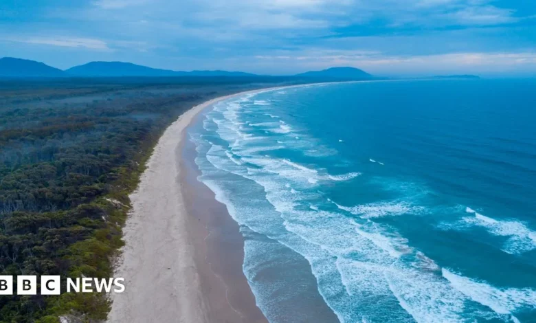 Australia shark attack: Woman killed and man injured in New South Wales