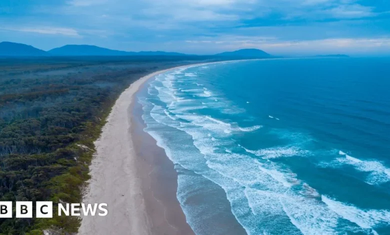 Australia shark attack: Woman killed and man injured in New South Wales