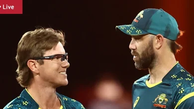 Australia vs India T20 LIVE: David falls, much depends on Maxwell and Stoinis in Aussie run chase