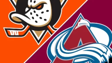 Avalanche 4-1 Ducks (Nov 11, 2025) Game Recap