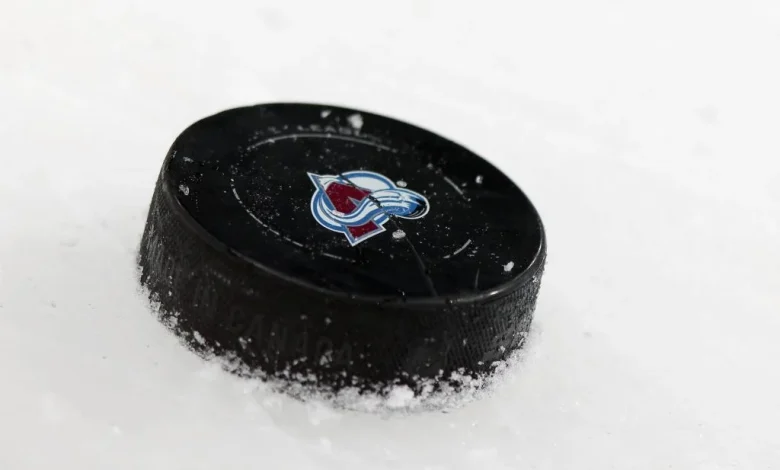 Avalanche Recall Taylor Makar