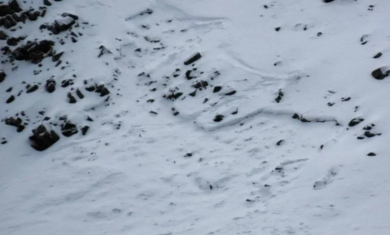 “Avalanches are officially on the menu” as Utah’s thin snowpack produces early-season slide