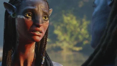 Avatar: Fire and Ash to Marty Supreme: 12 of the best films to watch this December