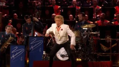BBC Festival of Remembrance viewers say same thing minutes into Rod Stewart's performance