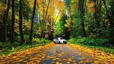 BC Highway Patrol awareness campaign issues 1,171 tickets in the Kootenays