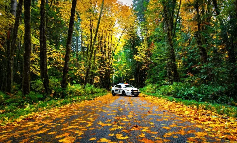 BC Highway Patrol awareness campaign issues 1,171 tickets in the Kootenays