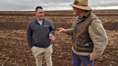 BOM releases SA’s summer forecast - News