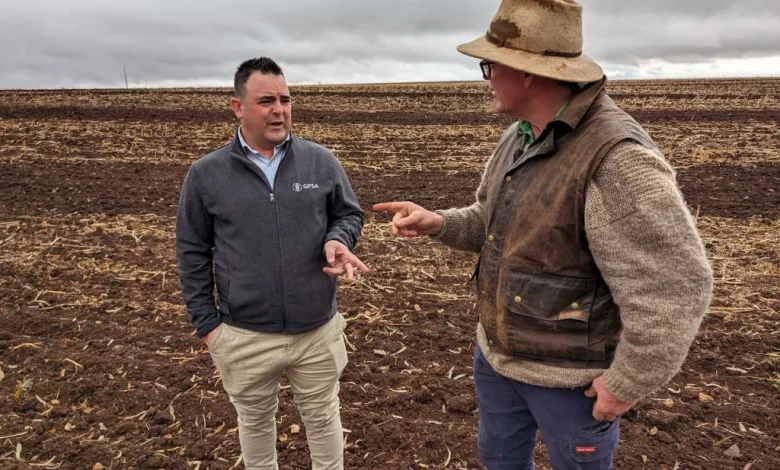 BOM releases SA’s summer forecast - News