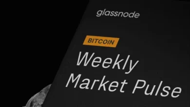BTC Market Pulse: Week 46