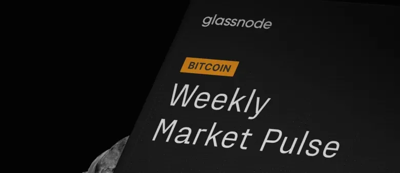 BTC Market Pulse: Week 46