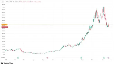BTC Miners are the Biggest Beneficiaries of Stellar NVIDIA Earnings