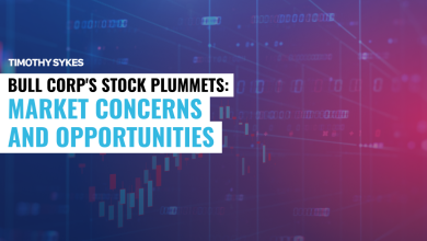 BULL Corp’s Shocking Drop: Time to Act?