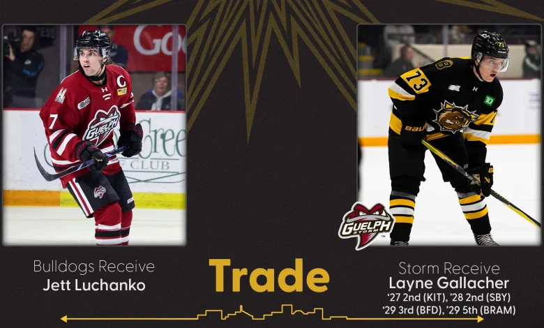 BULLDOGS LAND THE JETT; ACQUIRE LUCHANKO FROM GUELPH - Brantford Bulldogs