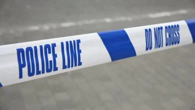 Baby dies after 'dog attack' in Wales