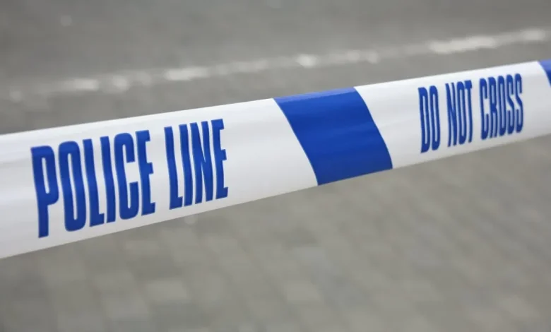 Baby dies after 'dog attack' in Wales