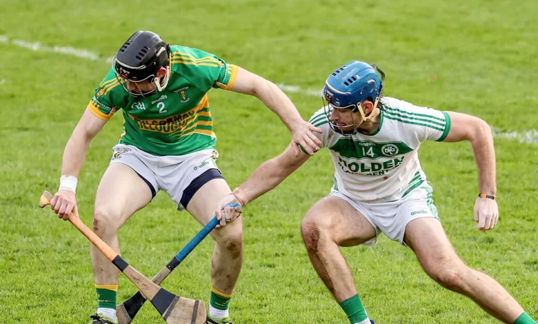 Ballyhale Shamrocks progress but Leinster quarter-final spills over at full-time